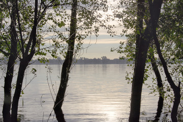the trees in the water on the banks of the Volga river. the flood of the Volga river at dawn