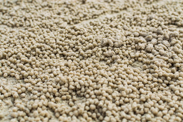 Sand ball on the beach