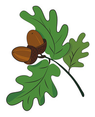 Cartoon image of acorns. An artistic freehand picture.