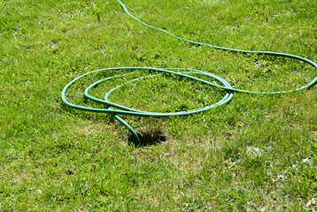Water hose. Closeup on a sprinkler attached to a hose watering the grass yard. Garden irrigation system detail for watering lawn.