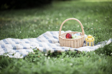 Basket with apples on the grass. Picnic. Summer. Fruits. Nature.