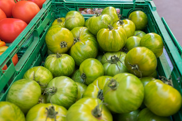 Organic fresh green tomatoes 