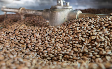 Obraz premium Light roasted coffee beans in a coffee roaster