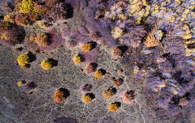 Aerial shot - color of Fall