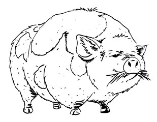 Cartoon image of huge pig. An artistic freehand picture.