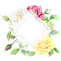 Wildflower rose flower frame in a watercolor style. Full name of the plant: rose. Aquarelle wild flower for background, texture, wrapper pattern, frame or border.