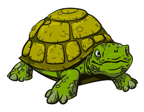Cartoon image of turtle. An artistic freehand picture.