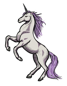 Cartoon image of unicorn. An artistic freehand picture.