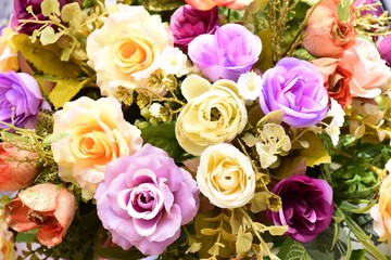Colorful roses flower for celebration