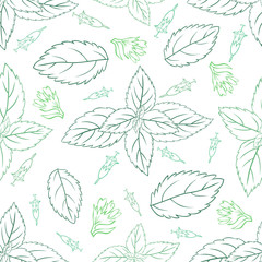 Mint leaves, peppermint buds isolated on white background, Hand drawn vector seamless patterns, spicy herbs, kitchen texture, Doodle cooking ingredient for design package tea, wallpaper, cosmetics