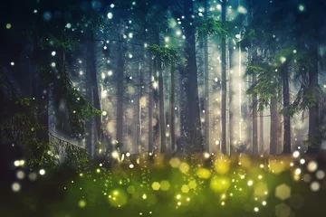 Keuken foto achterwand Sprookjesbos Forest Trees, Wood Glade - Mystic, Bokeh, Lens Flares, Camera Blur - Sunlight