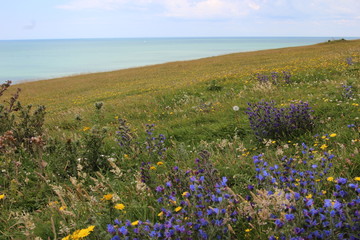 Wanderung an den Seven Sisters in Sussex England