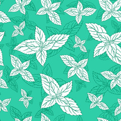 Mint leaf peppermint isolated on green background, Hand drawn vector seamless floral pattern, spicy herb kitchen texture line art, Doodle cooking ingredient for design package tea, wallpaper, cosmetic
