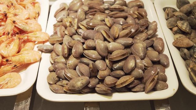 Trays with fresh seafood stock footage video