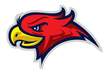 Eagle head mascot, colored version. Great for sports logos & team mascots. 