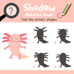 Shadow matching game of Standing axolotl mexican salamander animals for preschool kids activity worksheet colorful version. Vector Illustration.
