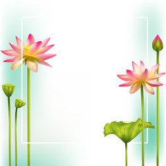 pink Lotus. Square flower frame. SPA-center. Buddhism. Asia. Indian philosophy.Banner. Floral background.