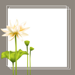 White Lotus. Square flower frame. SPA-center. Buddhism. Asia. Indian philosophy.Banner. Floral background.
