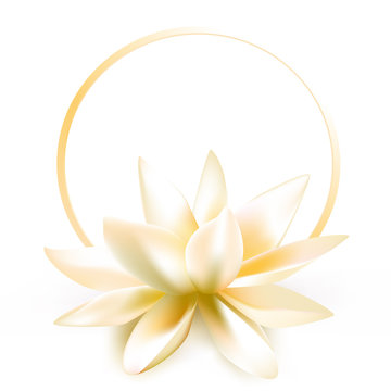 White Lotus. Round flower frame. SPA-center. Buddhism. Asia. Indian philosophy.Banner. Floral background.