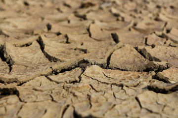 Drought earth with cracks.