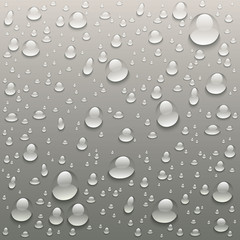 vector Drops of water on a grey background