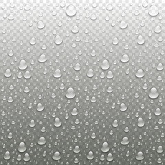 Realistic vector water drops transparent background. Clean drop condensation illustration
