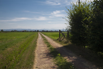 Fototapeta na wymiar Landscape in Padana Plain. Nobody inside