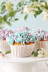 Hydrangea cupcakes