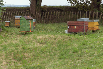 Beehives ready for transport and put together to be picked up at the Citadel of Namur