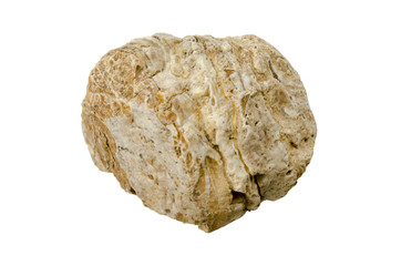 stones isolated on white background.Big granite rock stone.rock stone isolated on white background.