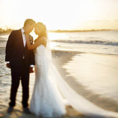 Wedding couple stands on the sunny beach