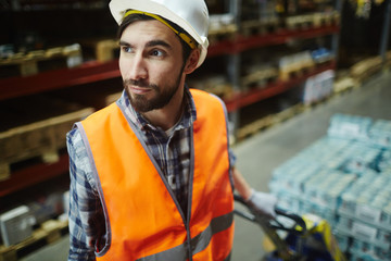 Portrait of bearded loader working in warehouse, pulling moving cart with retail goods in aisle between tall shelves