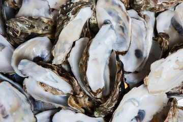 Closeup of many oyster shelss cooking process. Exquisite seafood background top view