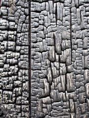 Burnt Wood from a Burnt Out Building