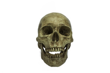 Human skull, isolated on white background with.