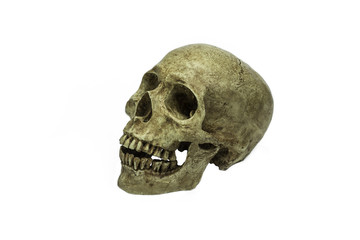 Human skull, isolated on white background with.