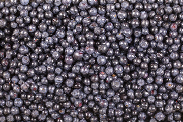 Fresh, ripe blueberries background, wild berry