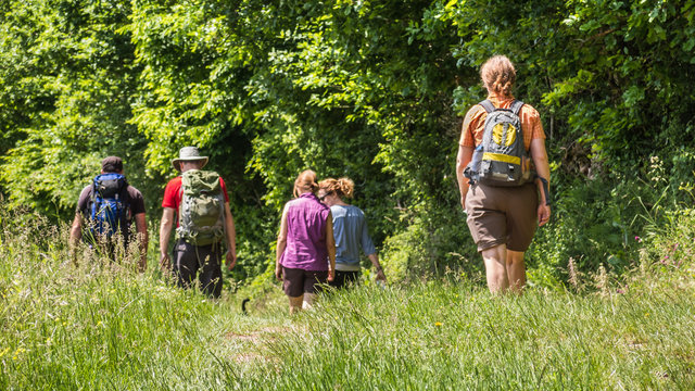 Wandern in Wald und Weinbergen in Rheinhessen
