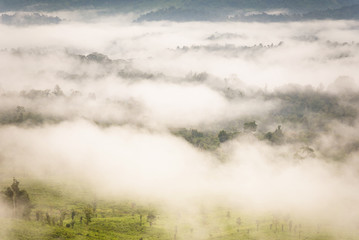 Landscape misty,Fantastic dreamy sunrise on the mountains, Mountain with mist cloud at Khao Kho Phetchabun Thailand