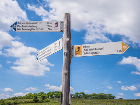 Wegweiser f&uuml;r Wanderer in Rheinhessen