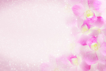sweet purple orchid flower frame blooming in soft background with bokeh and glitter light ,copy...