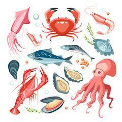 seafood collection set crustaceans fish shell delicacy