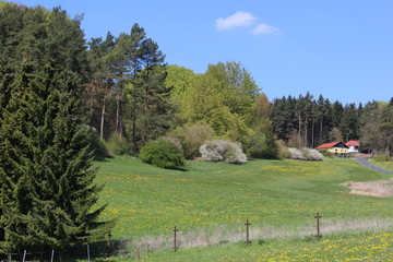 Frühling am Wackenhof