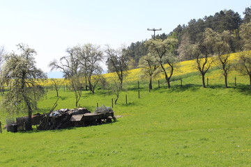 Fr&uuml;hling am Wackenhof
