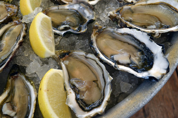 Plateau d'huitres