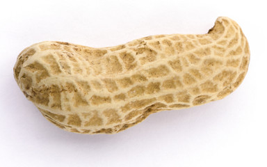 Macro closeup of Peanuts, isolated on white background