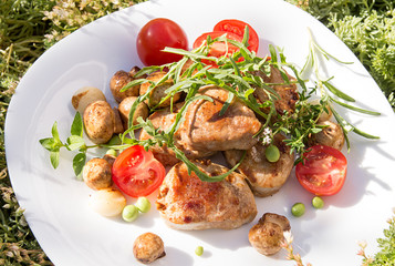 Roasted pork medallions with cherry tomato, mushrooms and arugula on white plate