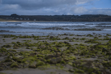 Lavafelsen an der bretonischen Küste
