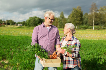 senior couple with box of carrots on farm