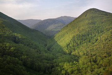 Fototapeta na wymiar Mountain near Vestochka. Russia